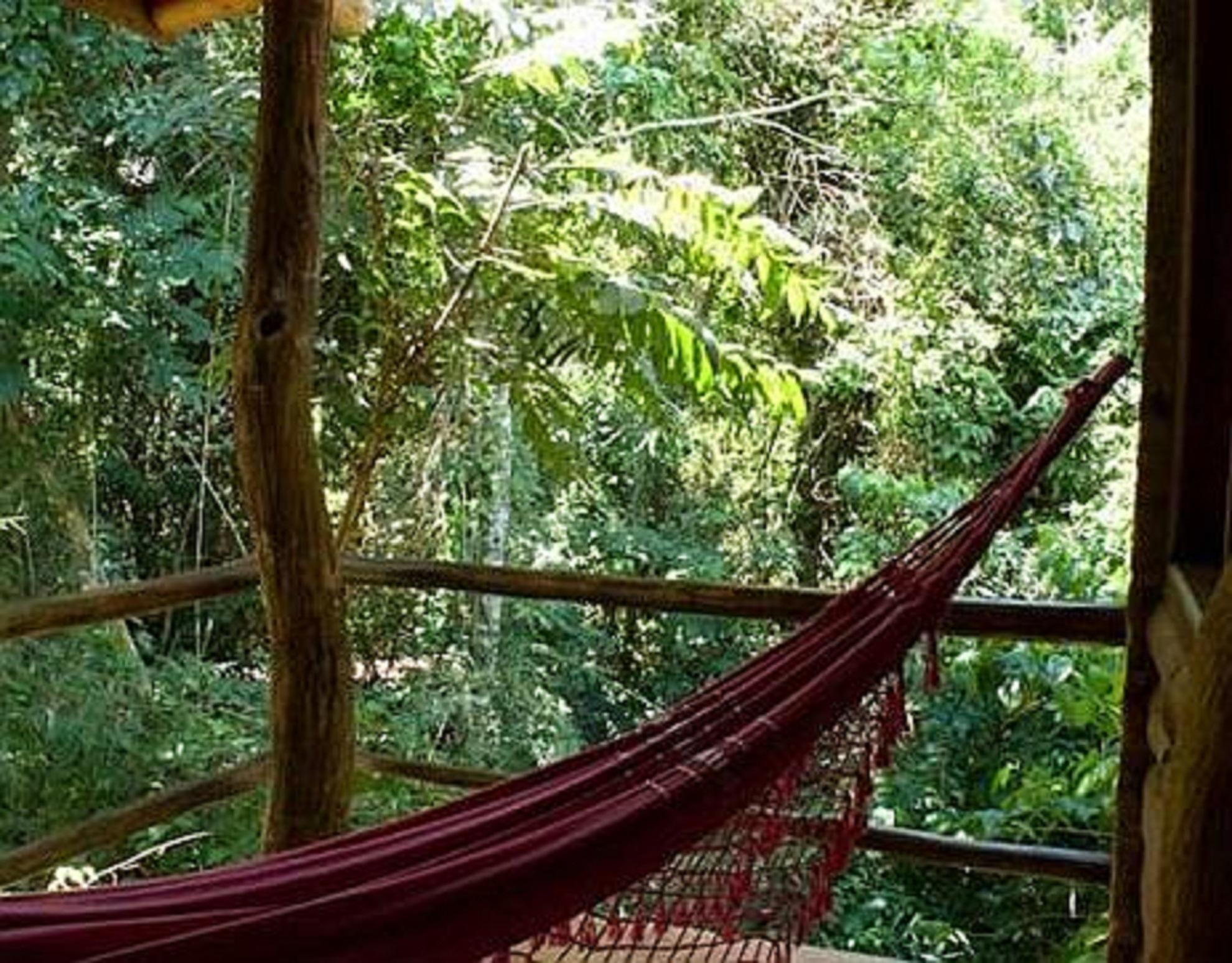 La Aldea De La Selva Lodge Puerto Iguazú Eksteriør billede